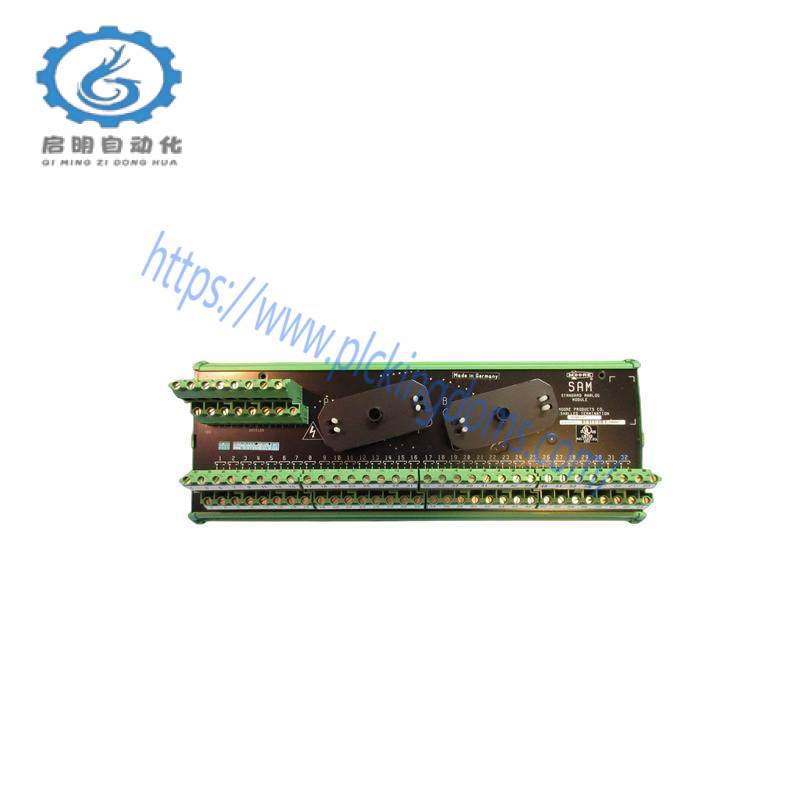 SIEMENS 16169-1-07 ANALOG MODULE
