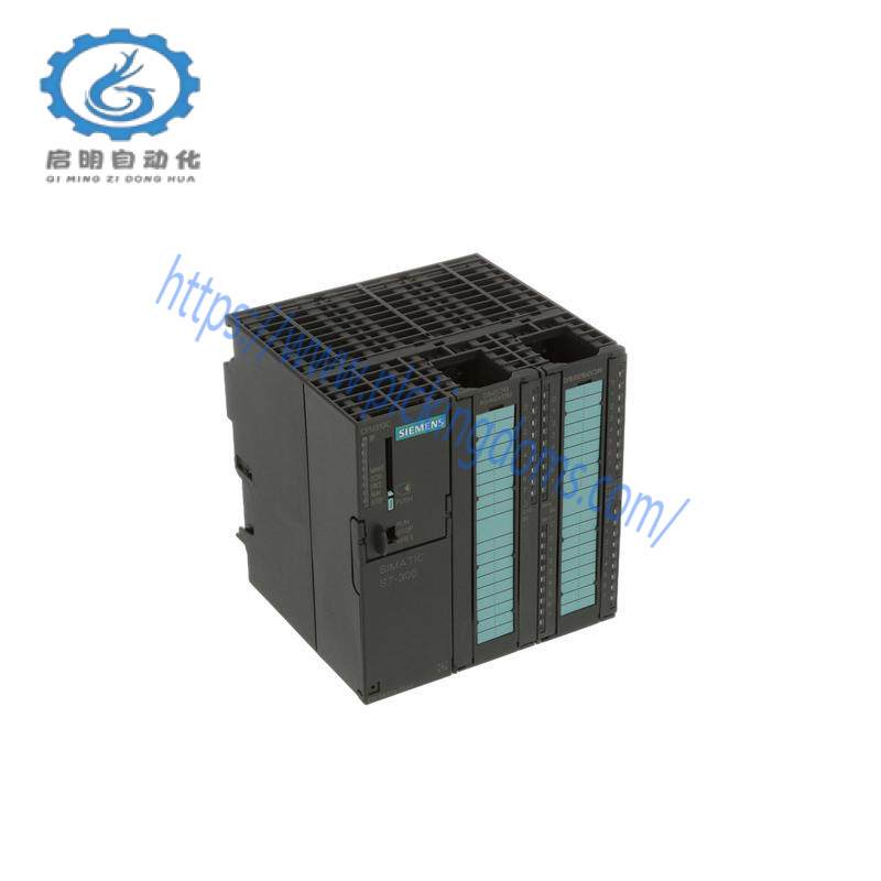 SIEMENS 6ES7313-5BG04-0AB0 DIGITAL OUTPUTS