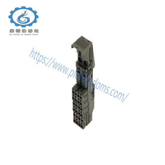 Siemens 6ES7 193-4CF50-0AA0 terminal module