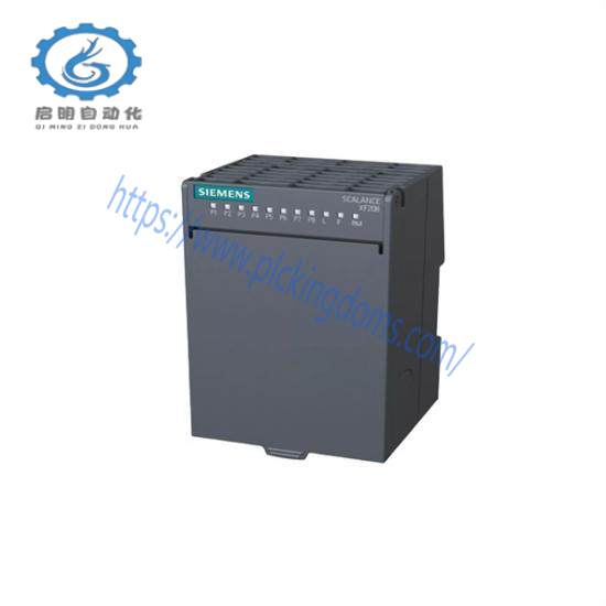 6DD1602-0AE0  Siemens PS16 Module