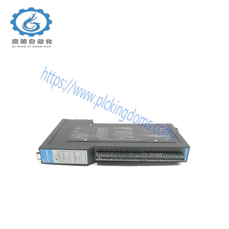 Square D SY/MAX 8030-RIM125 Analog Input