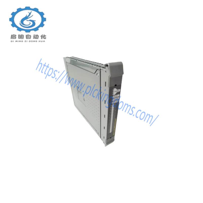 ICS TRIPLEX T8240 I/O Power Supply Chassis