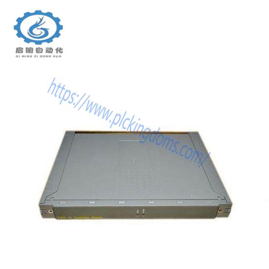 T9191 Module