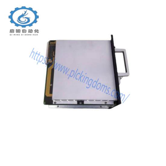 TEAM BL0308 PC0014-P