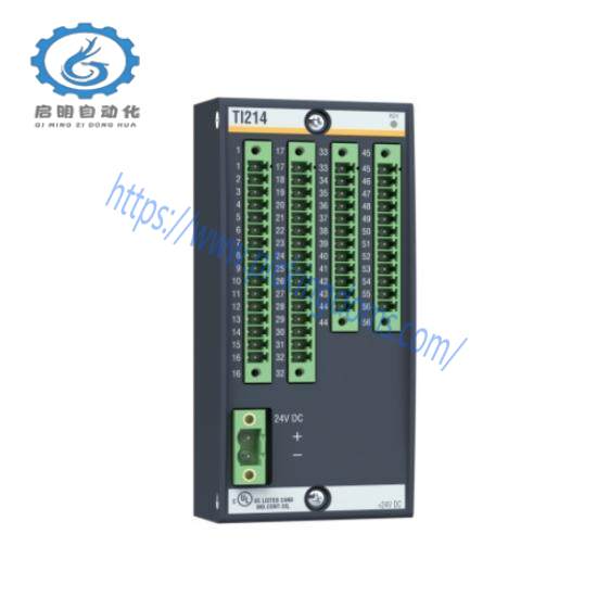 TI214  Temperature Input Module  Bachmann