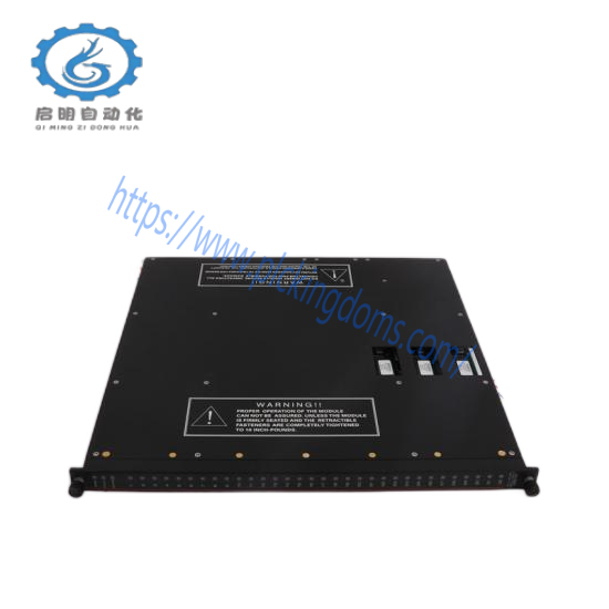 TRICONEX 3004 PROCESSOR MODULE