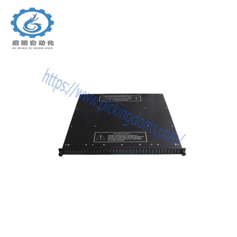 TRICONEX 4210 Remote Extender Modules
