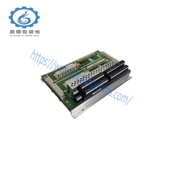 TRICONEX 7400206-100