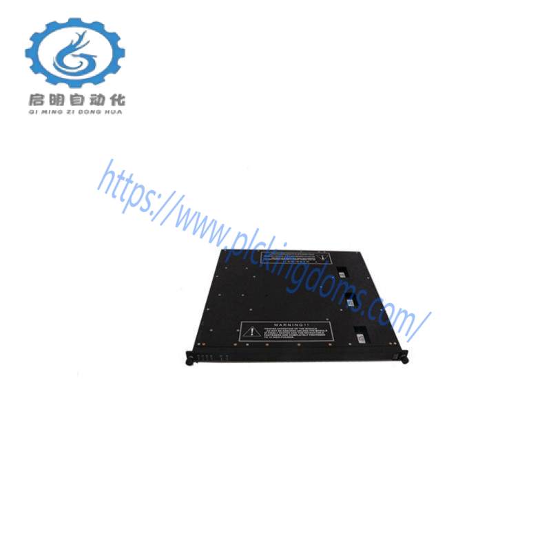 TRICONEX 7400212-100
