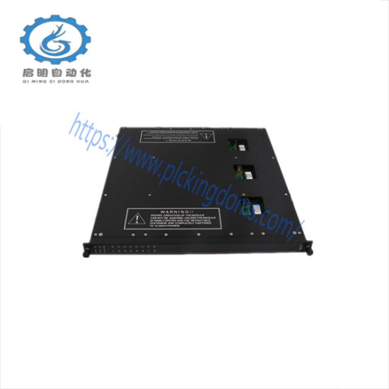 TRICONEX 9561-810