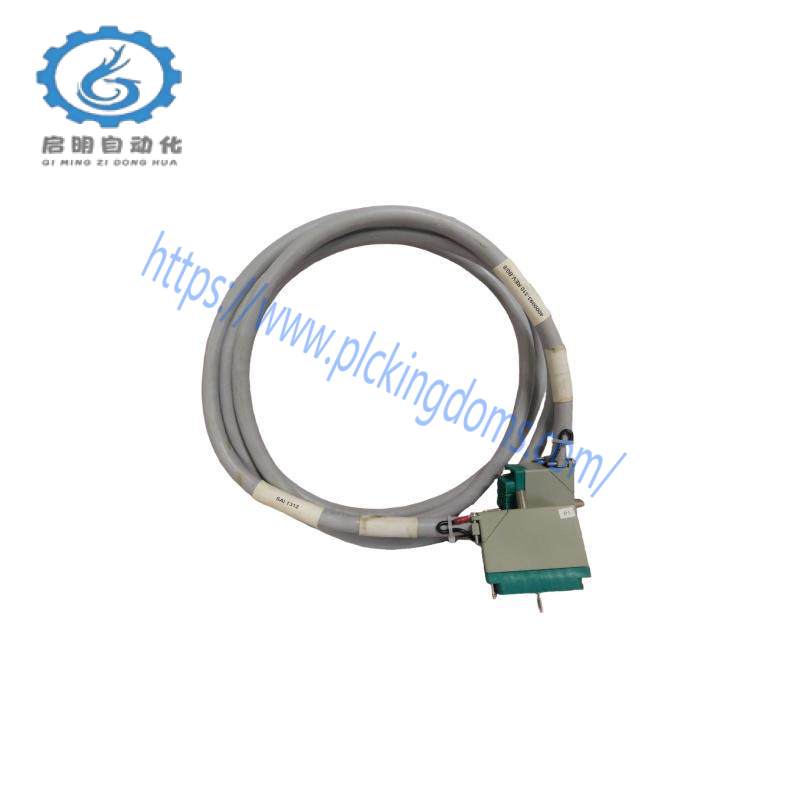 TRICONEX 9566-810F