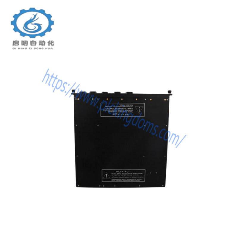 TRICONEX 9760-2 7300150-001