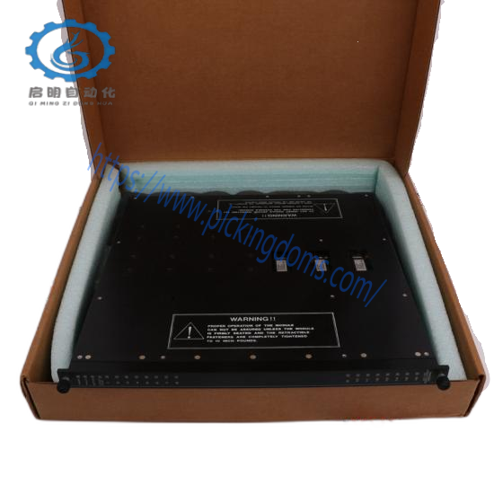 TRICONEX MP6004