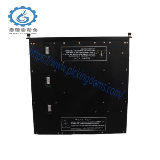 TRICONEX PM6301A