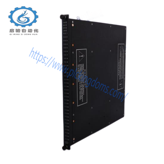 TRICONEX TC-505-02-4M5