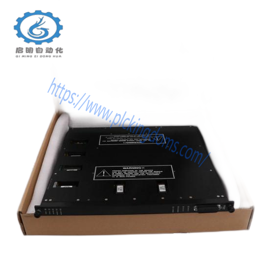 Triconex Terminal Board for 2551 7400058-110
