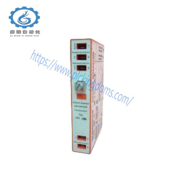 Vibro-meter VM600-RPS6U