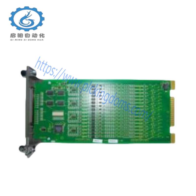 WINGREEN LAIB 034STN1-01-300-RS