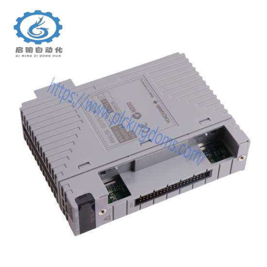 Yokogawa AAI543 Analog Output Module