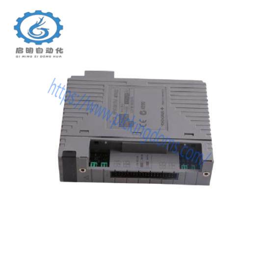 Yokogawa AAI841-H00  Analog I/O Module
