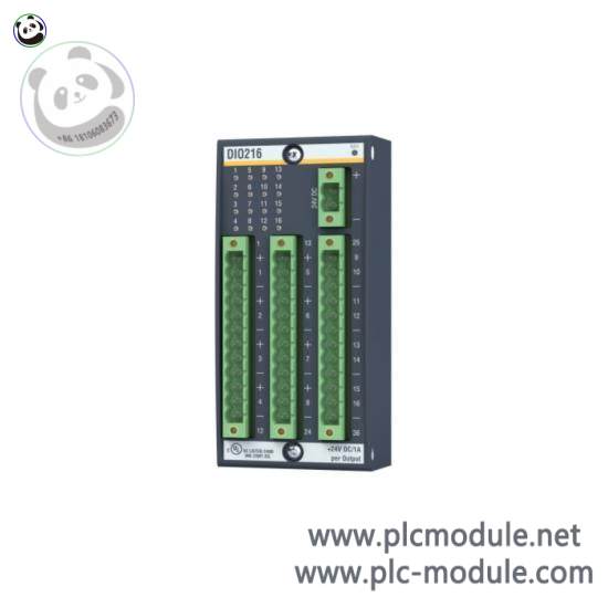 Bachmann DIO 216  Bachmann plc DIO216