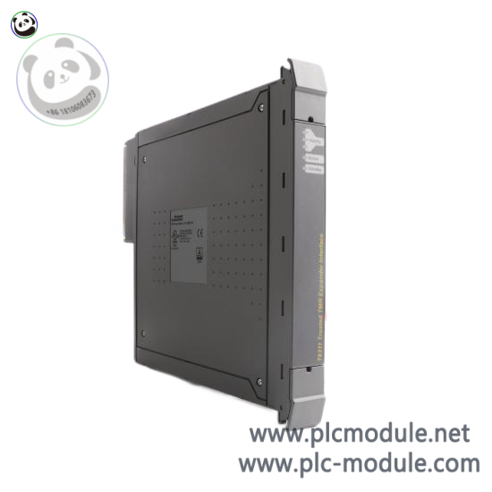 ICS TRIPLEX T8311C