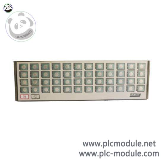 FOXBORO P0500NY