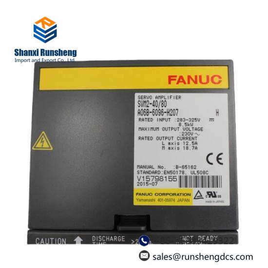 Fanuc A06B-6096-H207  GE Servo Module