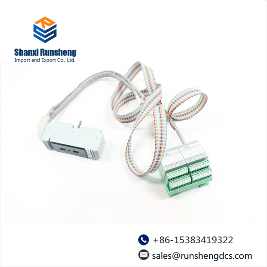 FOXBORO P0500SR Termination Cable Assembly