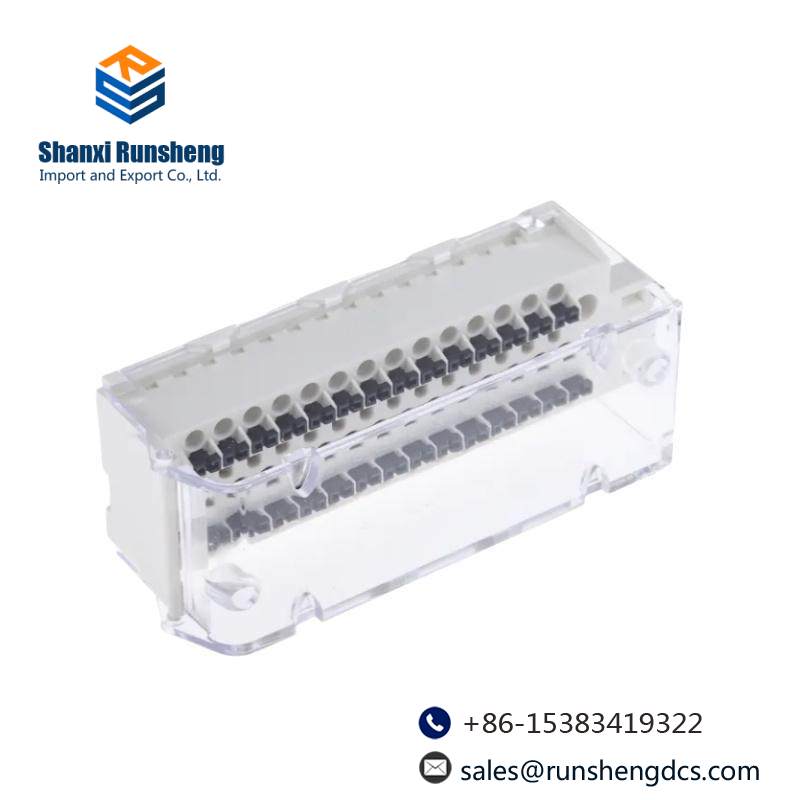 SCHNEIDER SM-070/60/020/P1/45/S1/B0