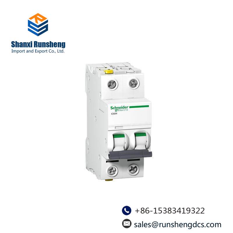 SCHNEIDER C65N 1P C10