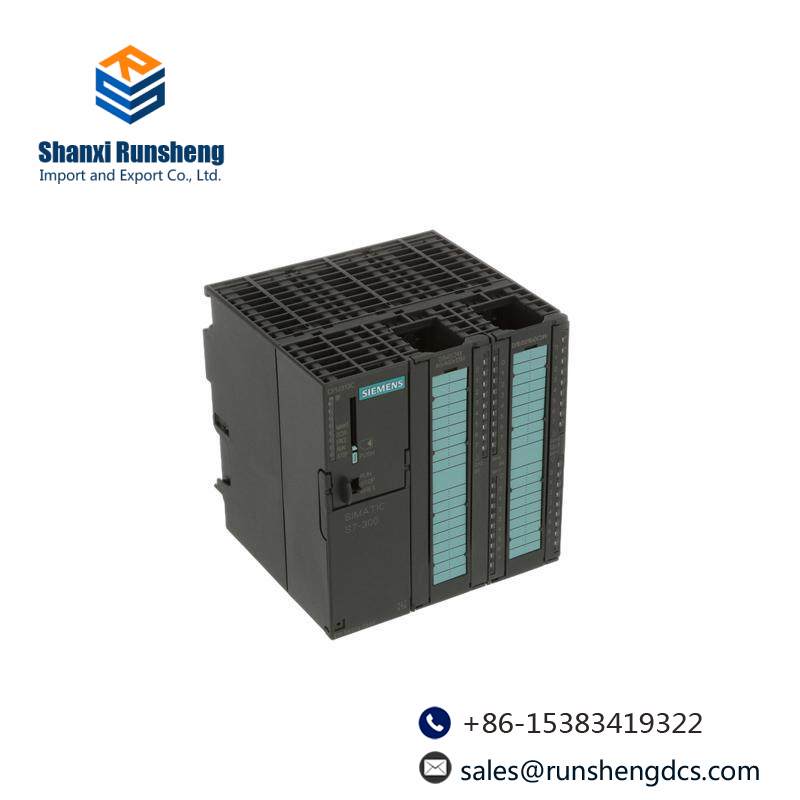 SIEMENS 6ES7313-5BG04-0AB0 DIGITAL OUTPUTS