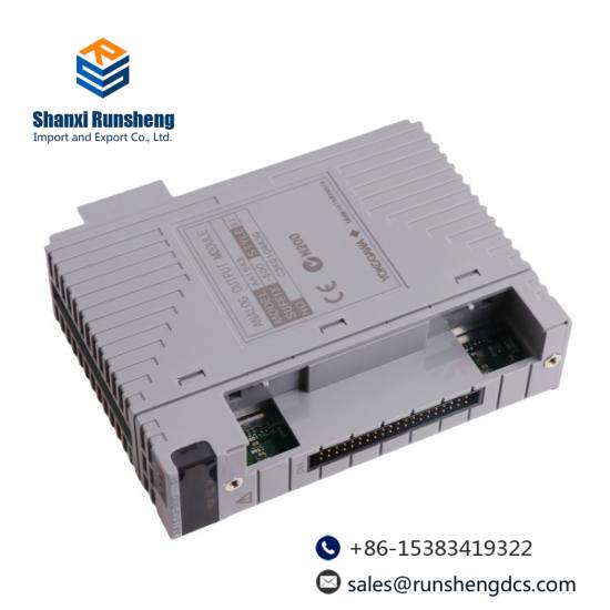 Yokogawa AAI543 Analog Output Module