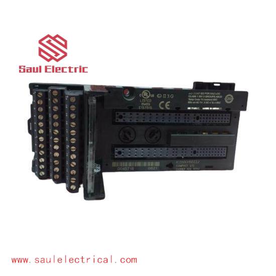 GE FANUC IC200CHS022 Controllers