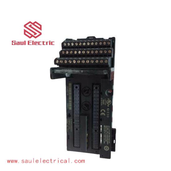 GE FANUC IC200CHS022 Controllers