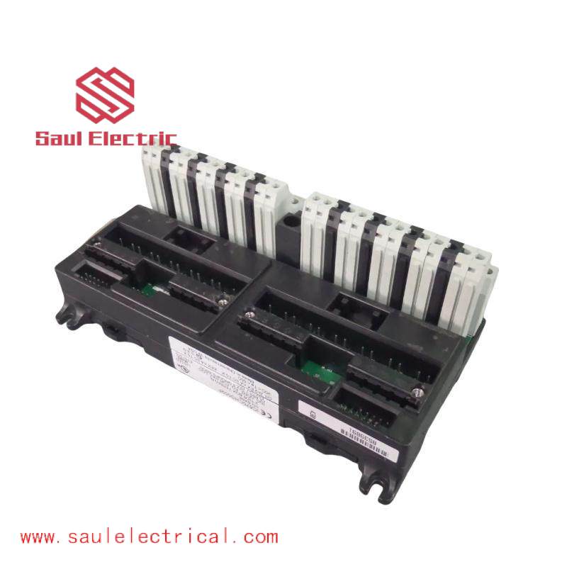 GE IC670CHS002 I/O terminal block