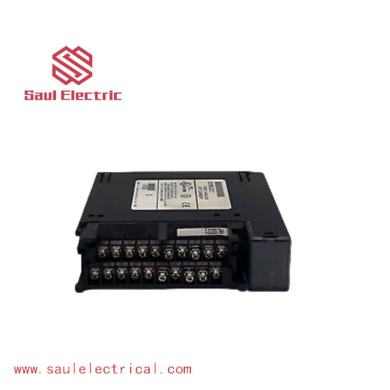 GE IC693ALG221F Analog Input Module