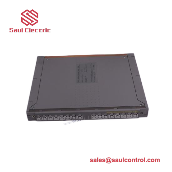ICS TRIPLEX T8431C