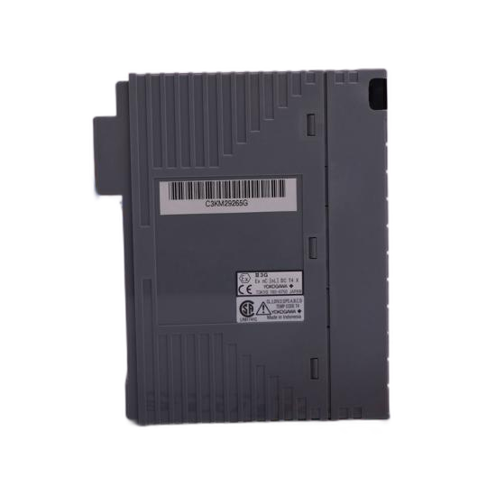 ABB FAU810  Dual Channel Complete Assembly