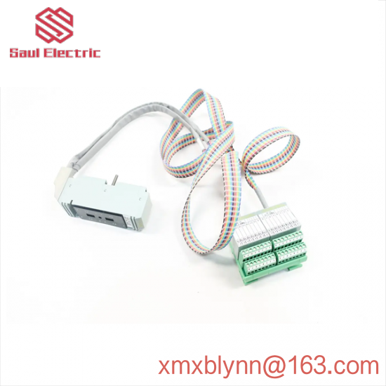 FOXBORO P0500SR Termination Cable Assembly