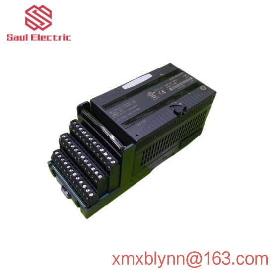 GE Fanuc IC200ALG266F input module