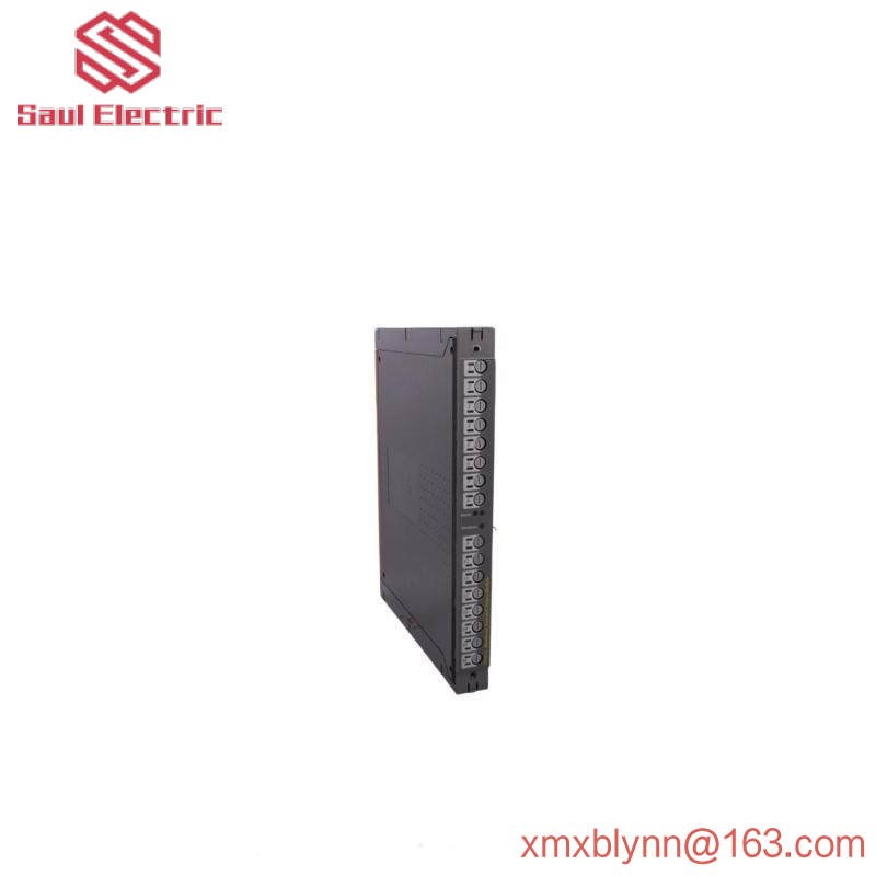 ICS TRIPLEX T8451 Module
