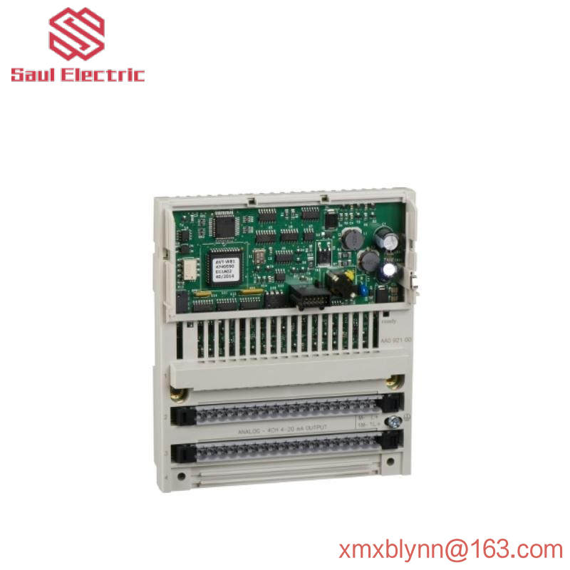 Schneider 170AAO92100 Analog Output