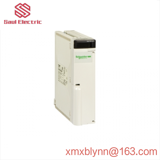 SCHNEIDER AS-BDAP-218