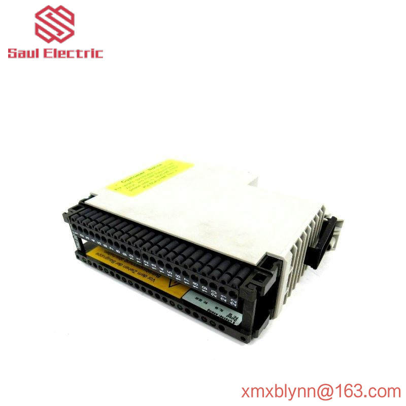 Schneider AS-BDAU-204 ANALOG OUTPUT MODULE