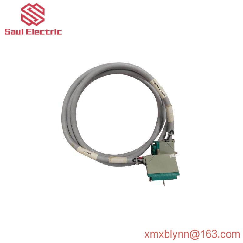 TRICONEX 9566-810F