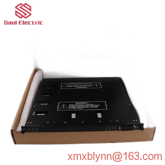 TRICONEX MP6004