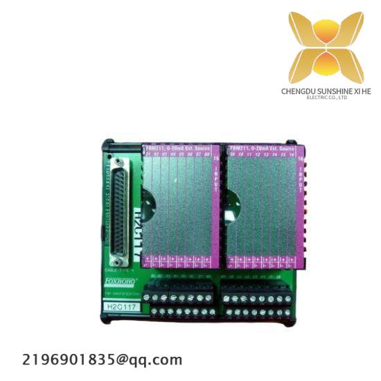 P0916BT  I/A Series Module  Foxboro