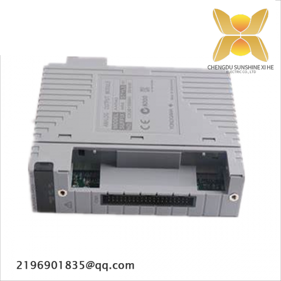 YOKOGAWA AAI543-H53 S1 Analog Input/Output Module