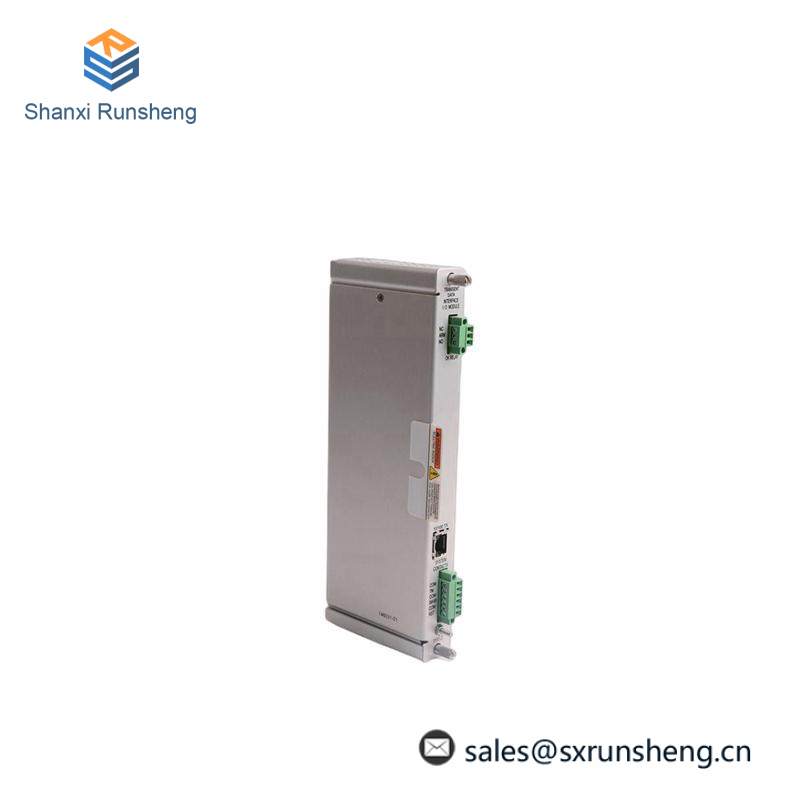 Bently Nevada 125736-01 I/O MODULE